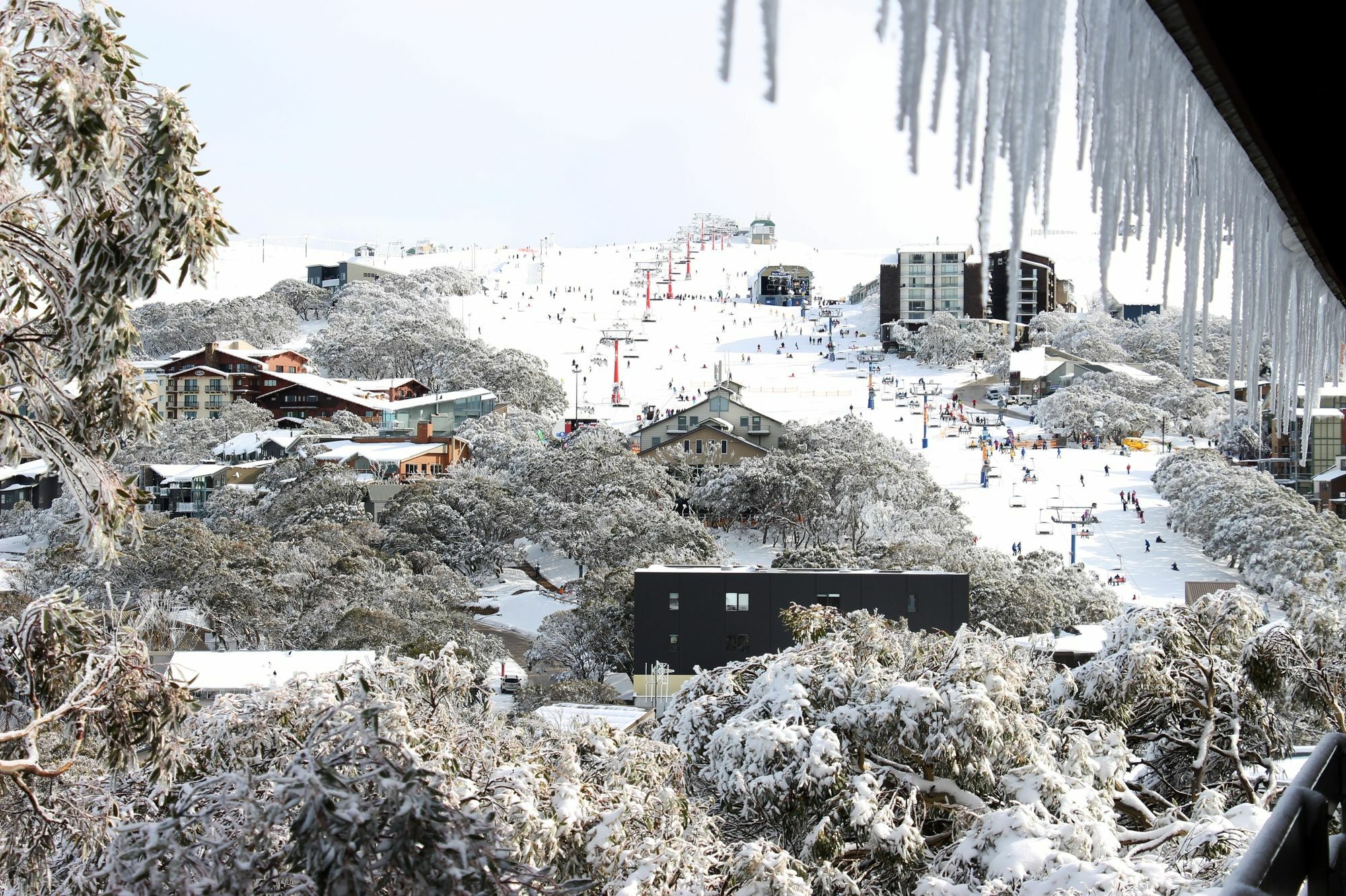 Alpine Retreat Mt Buller Hotel Mount Buller Buitenkant foto